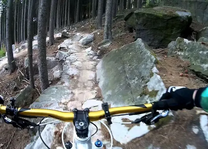 Draci Udoli トルトノフ